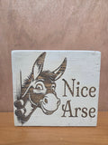 Nice Arse (bathroom sign)