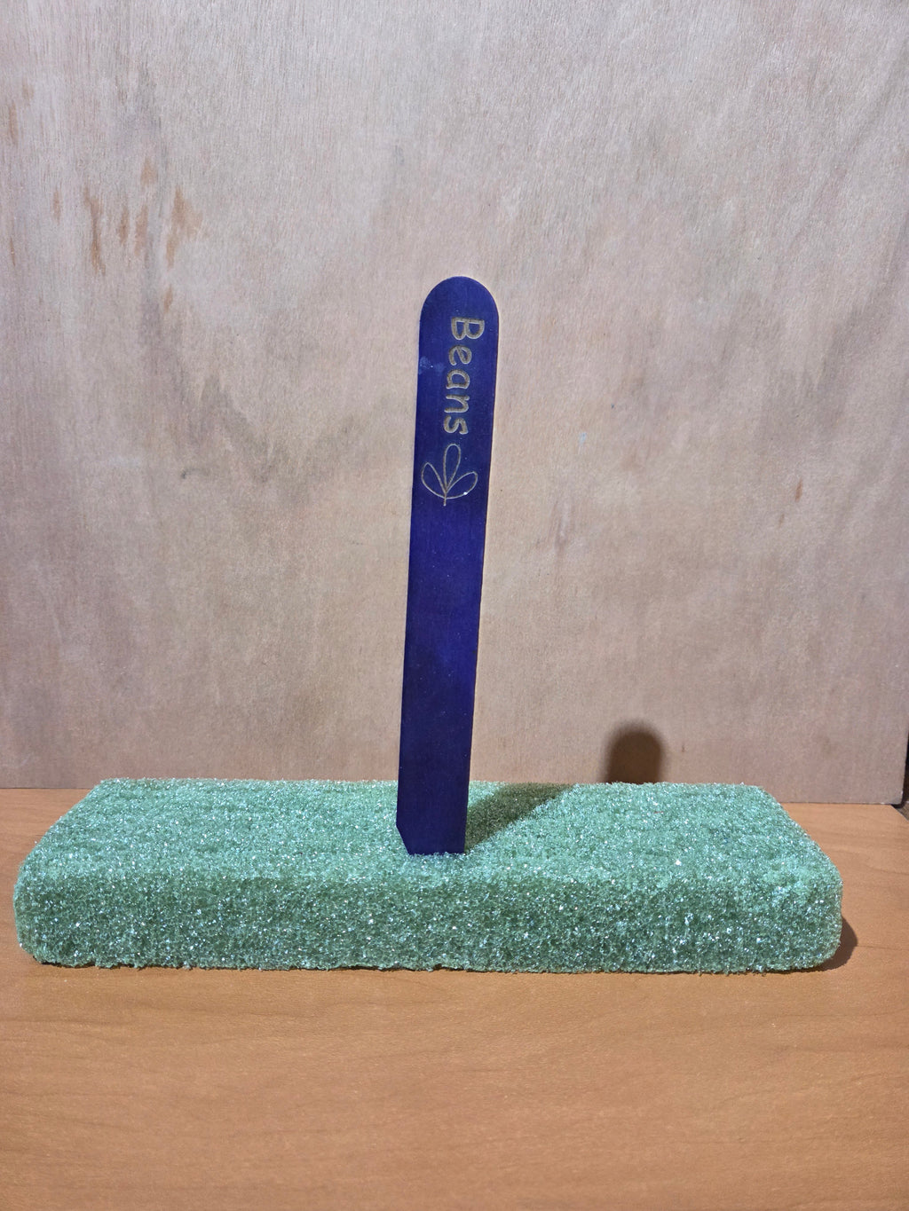 Beans garden stake