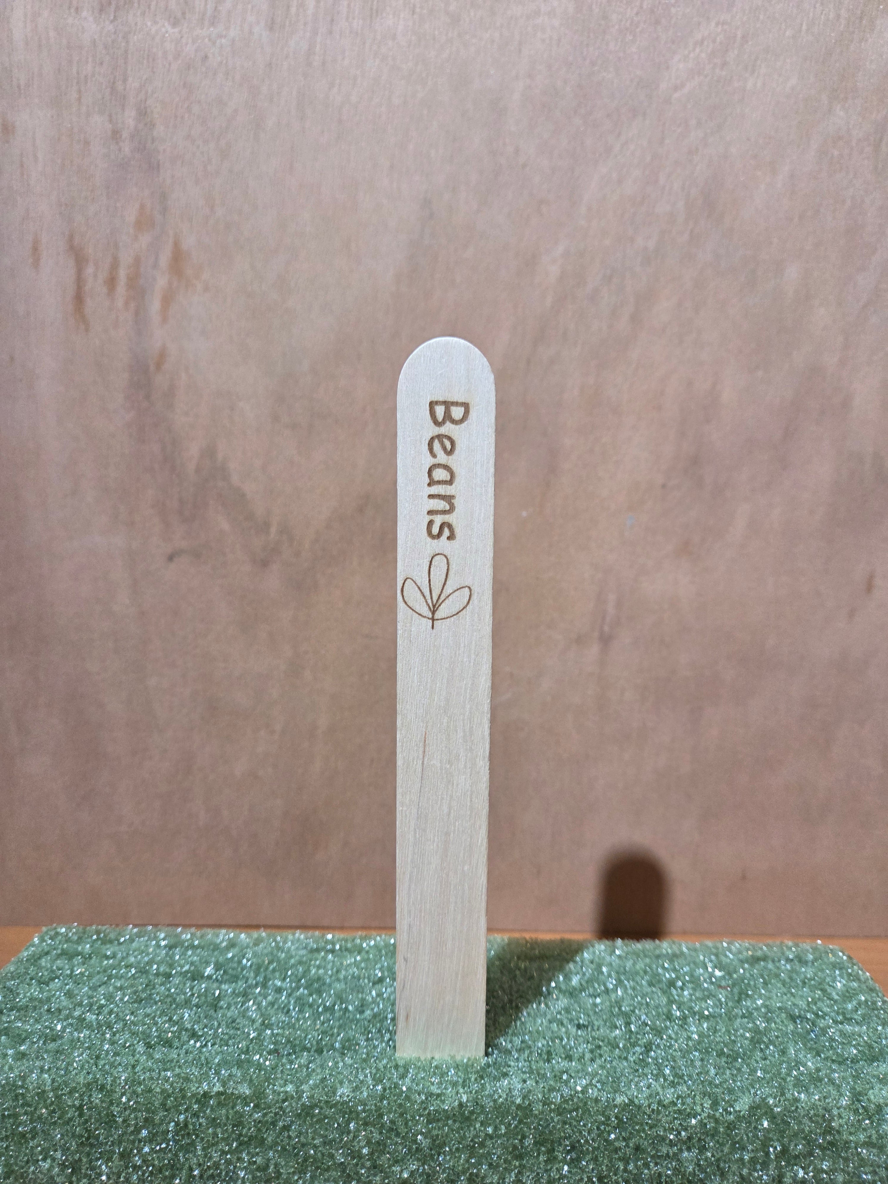 Beans garden stake